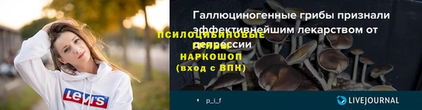 ECSTASY Чегем