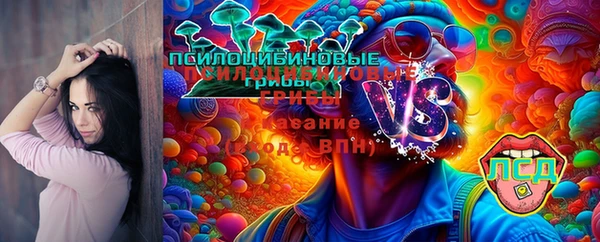 гидропоника Чекалин