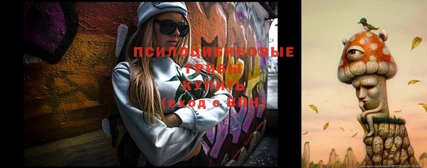 гидропоника Чекалин